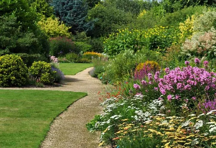 Lawn Care Services