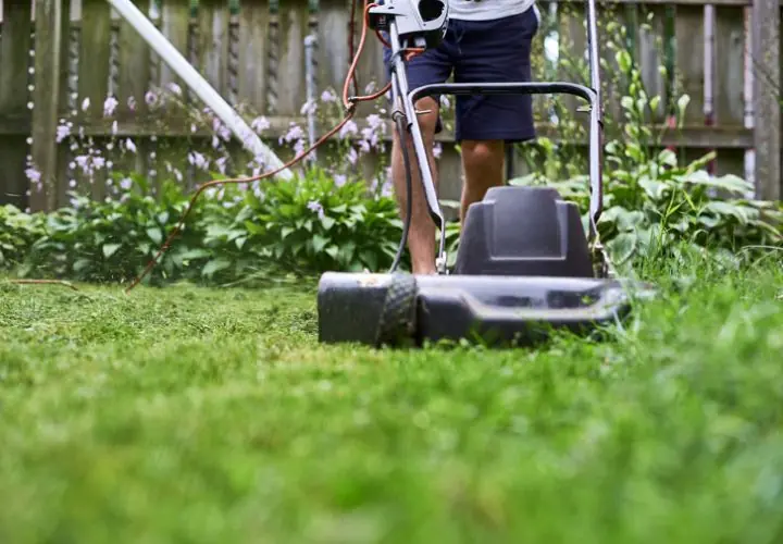 Weed Control