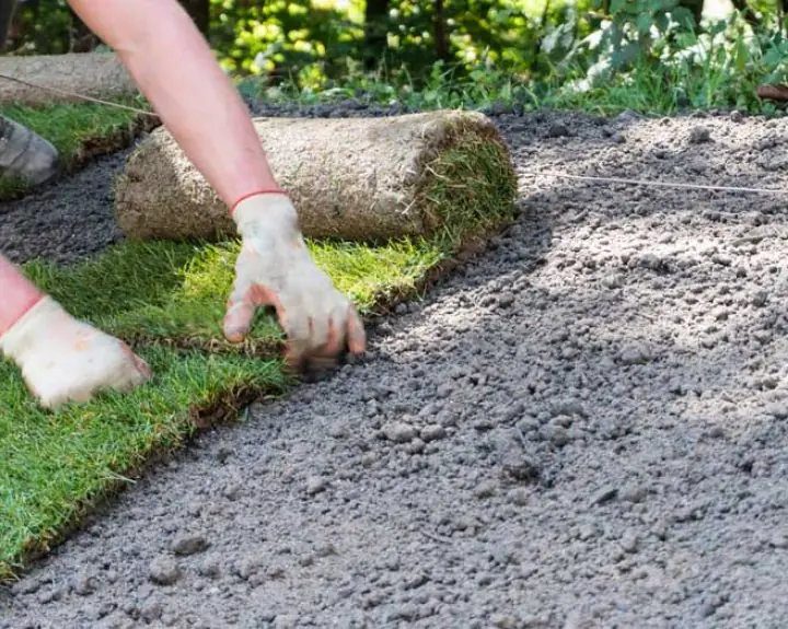 Sod installation services