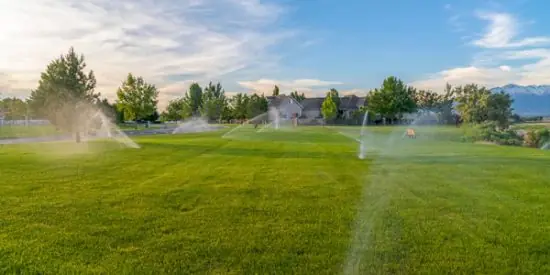Sprinkler Repair